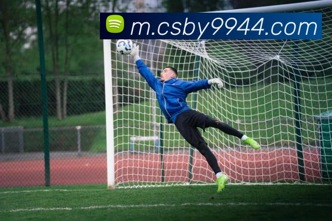 未来规划